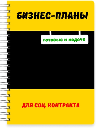 Бизнес-план для социального контракта