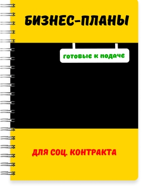 Бизнес-план для социального контракта