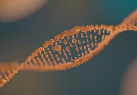 Генетические причины повышения ЛПНП