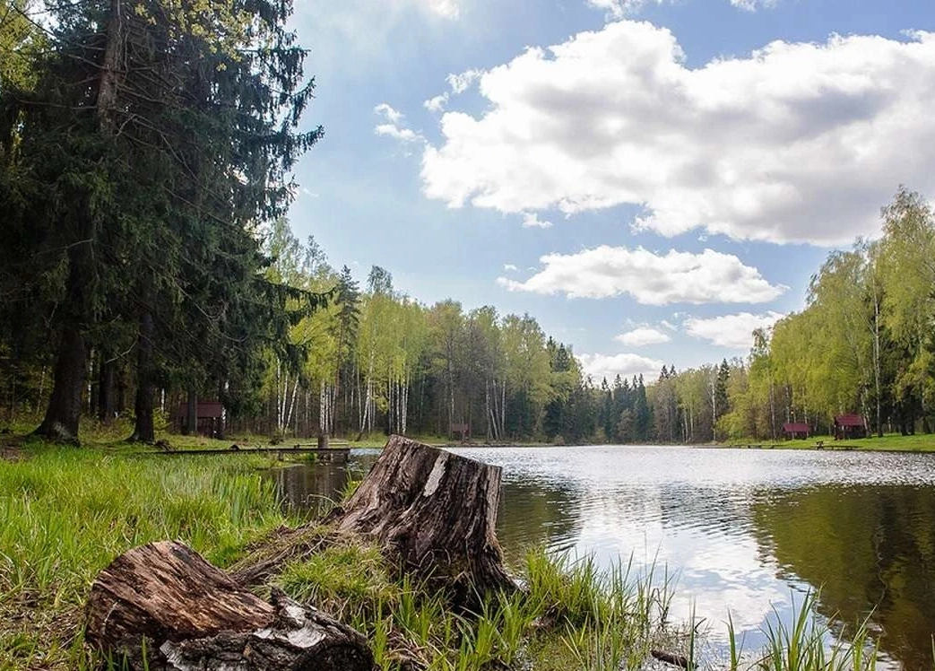 Sokolinn Park - Соколинн Парк - расположение