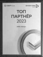 ООО Лотус топ партнер Сбера и Деловой среды 2023 год