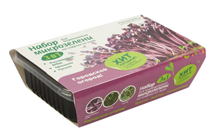 Домашний мини-огород с семенами зелени в подарок на юбилей