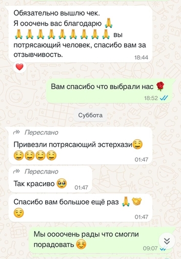 Отзыв N4