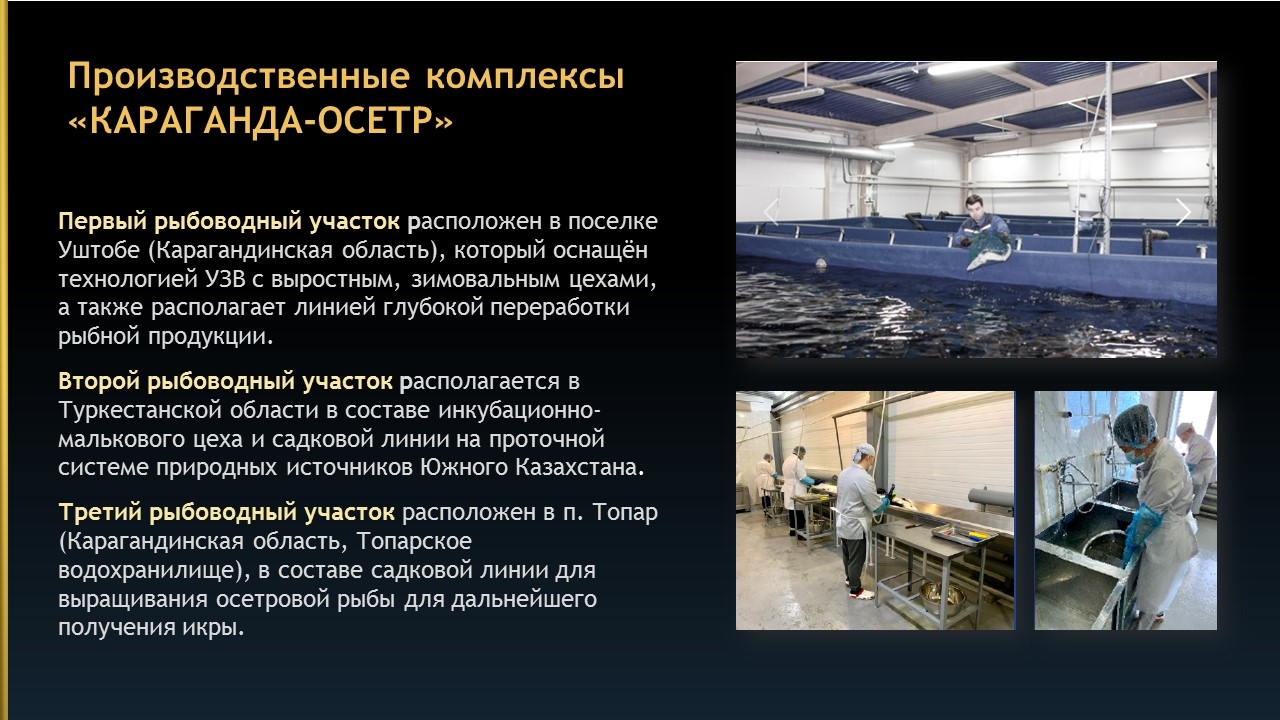 Описание продукта