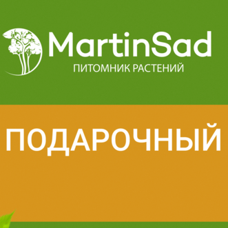 Подарок-выбор комнатного растения для бабушки или дедушки