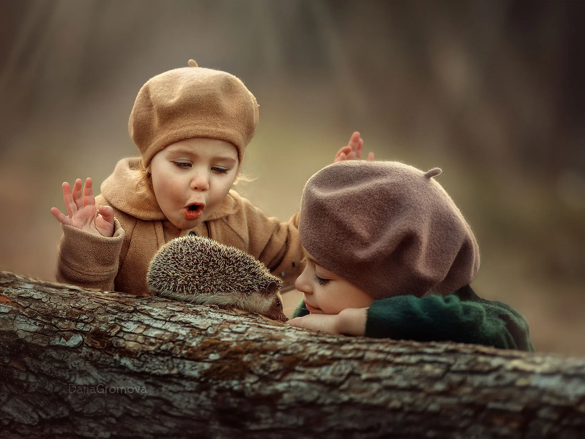 Фотограф - Дарья Громова