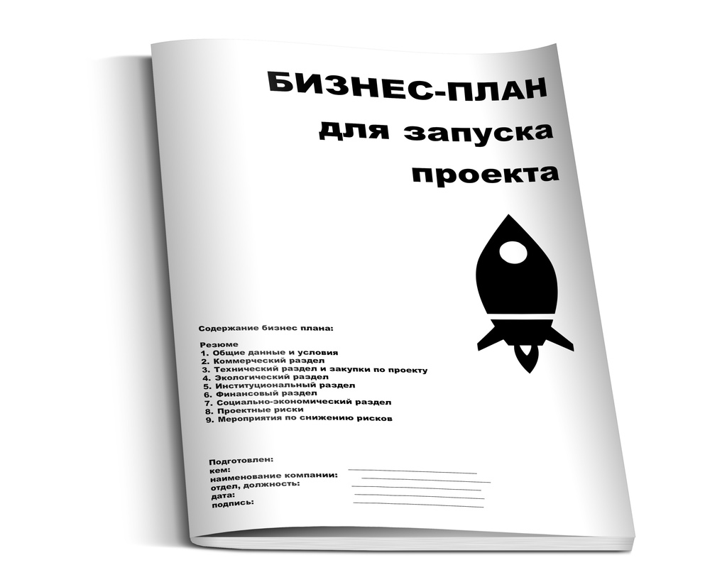 составление бизнес-планов по стандартам UNIDO/KPMG/Фондов/Банков