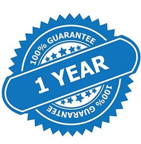 WT2 plus timekettle - наушники переводчики купить с гарантией и доставкой по РФ