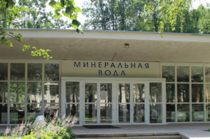 Spa&Camp Фестиваль воздухоплавания в Переславле