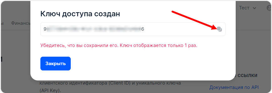 Скопировать сгенерированный API-ключ в Ozon