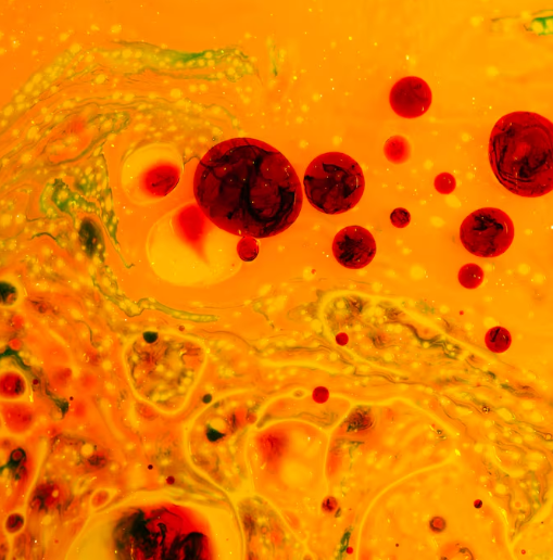 Какую диету нужно соблюдать для снижения плохого холестерина