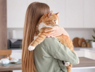 Диагностика причин гиперфосфатемии