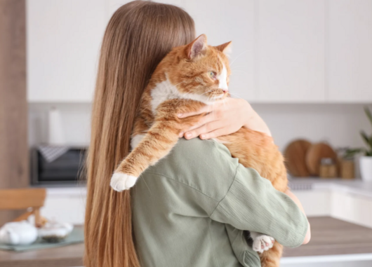 Диагностика причин гиперфосфатемии