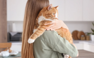 Повышен фосфор у кошки