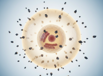 что делает глутатион в организме