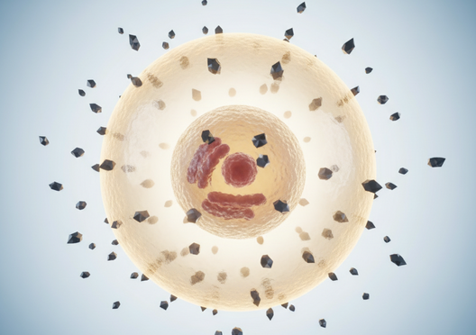 что делает глутатион в организме