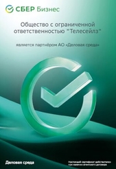 ООО ТЕЛЕСЕЙЛЗ официальный партнер АО Деловая среда СБЕР Бизнес