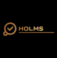 Разноцветный логотип Эльдарь Холмс Eldar Holms линии поисковой логики