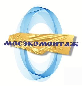 Инженерная организация