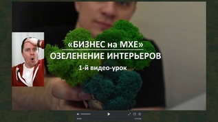 КАК ЗАРАБОТАТЬ ДЕНЕГ НА ОЗЕЛЕНЕНИИ МХОМ? и начать бизнес на стабилизированном мхе business-moss.ru