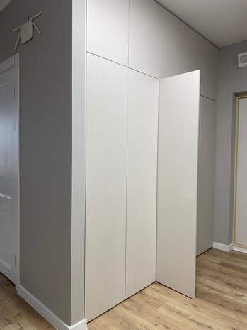 Хай тек купе / шкафы на заказ с распашными фасадами без отпечатков пальцев Art. 044-26