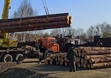 Бревна сосны большого диаметра с доставкой в Москве