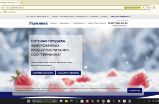 Сео продвижение сайта в поисковых системах Яндекс и Google от Толстель Максима
