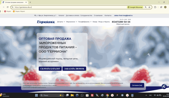 Сео продвижение сайта в поисковых системах Яндекс и Google от Толстель Максима