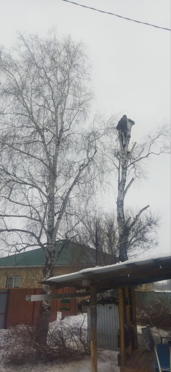 спиливание Саратов