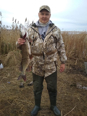 Как работать на себя в сфере IT