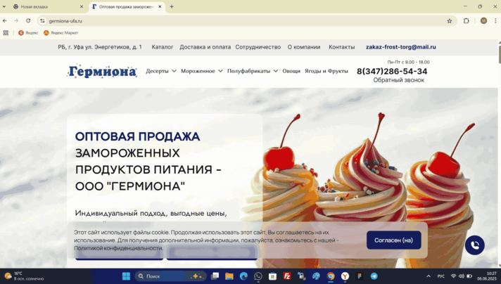 Сео продвижение сайта в поисковых системах Яндекс и Google от Толстель Максима