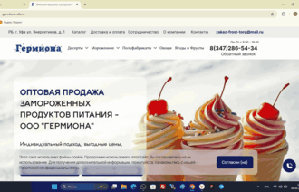 Сео продвижение сайта в поисковых системах Яндекс и Google от Толстель Максима