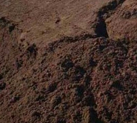 Заказать торфогрунт