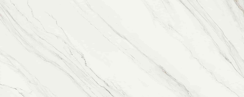 Touche Super Blanco-Gris Natural