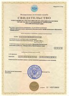 ИНН Профессионал
