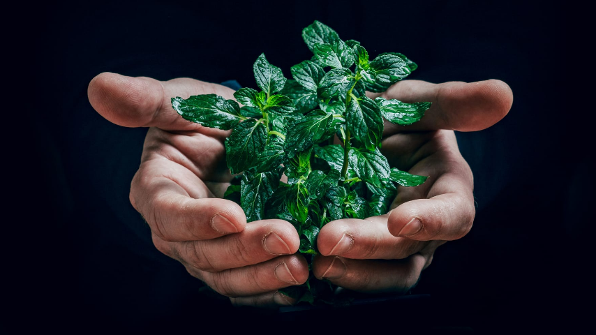 экологическая компания эталон