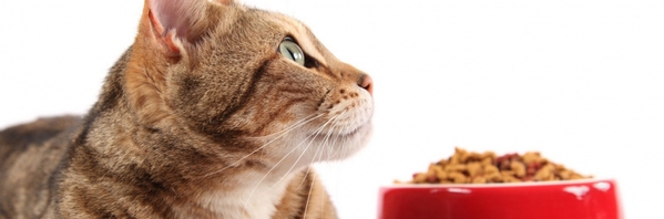 Купить Ипакитин в Москве