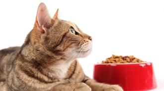 Купить Ипакитин в Москве