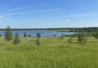 Природа в поселке АкваВиль