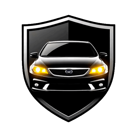 Обработка за 1 день. Доступно в рассрочку!