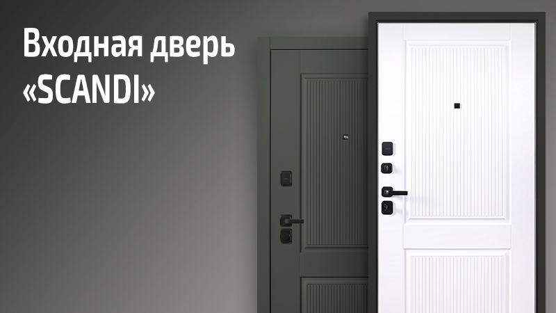 Квартирная входная дверь Сканди