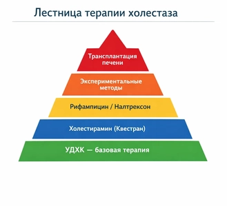 лестница терапии холестаза