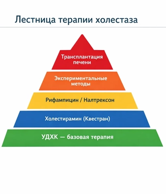 лестница терапии холестаза