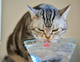 признаки повышения фосфора