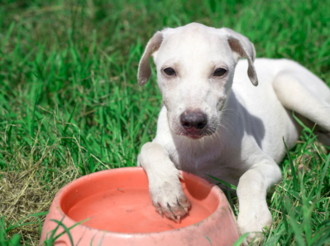 Советы по поддержанию водного баланса