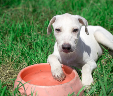 Советы по поддержанию водного баланса