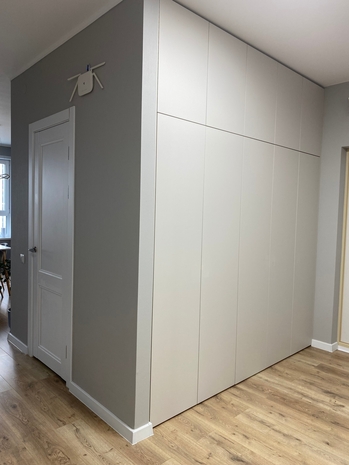 Хай тек купе / шкафы на заказ с распашными фасадами без отпечатков пальцев Art. 044-24