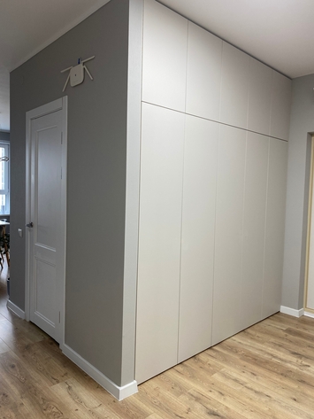 Хай тек купе / шкафы на заказ с распашными фасадами без отпечатков пальцев Art. 044-18