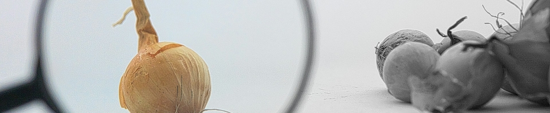 Инструкция по проверке подлинности Татионила