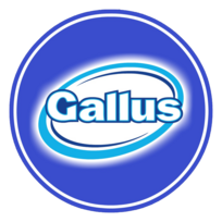Gallus